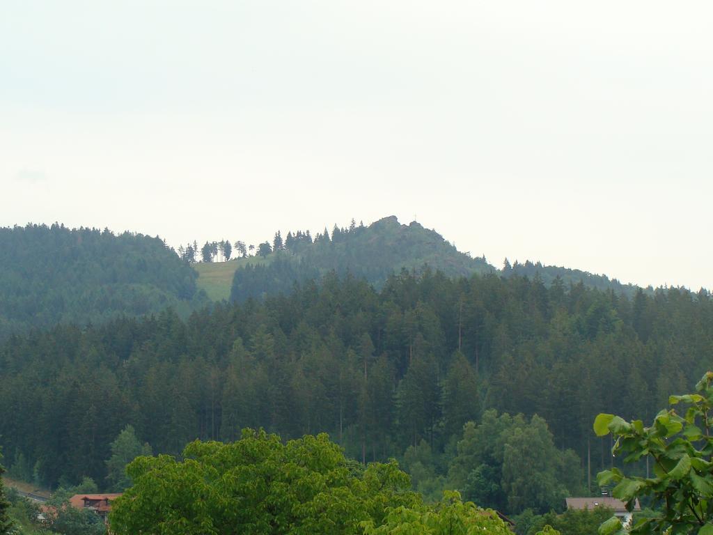 Drei Tannen Bodenmais Exterior foto