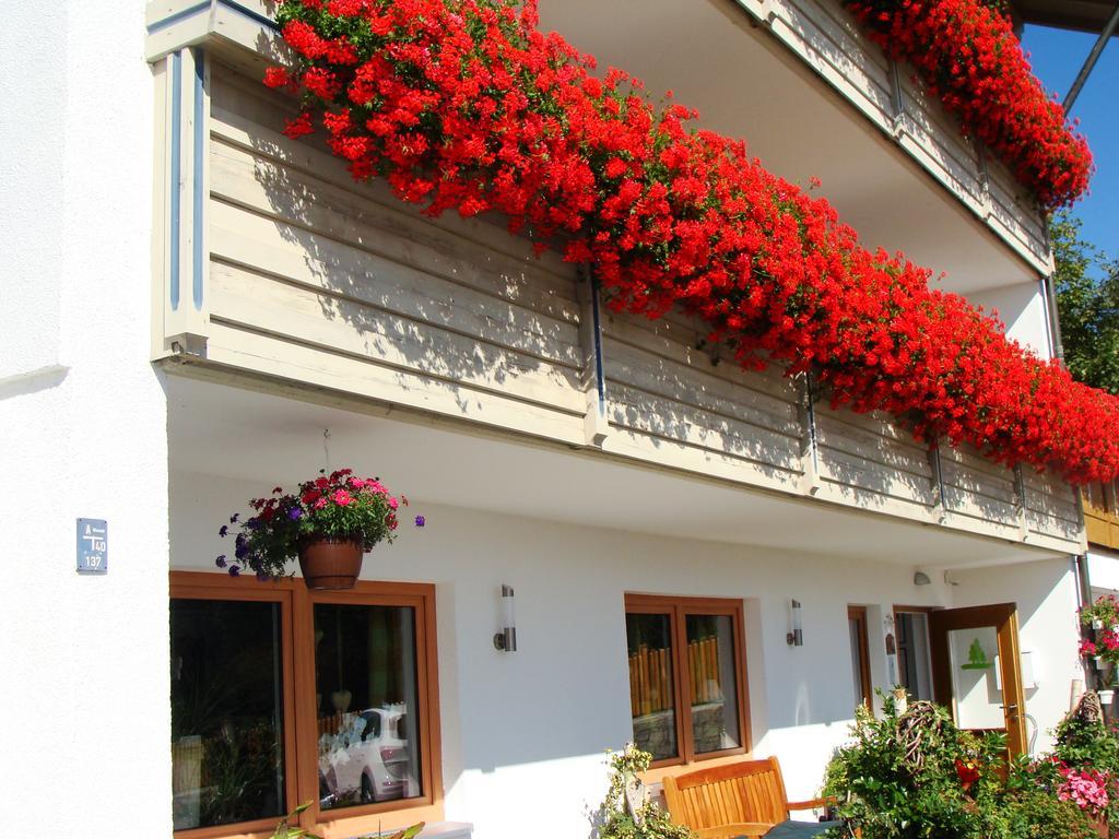 Drei Tannen Bodenmais Exterior foto