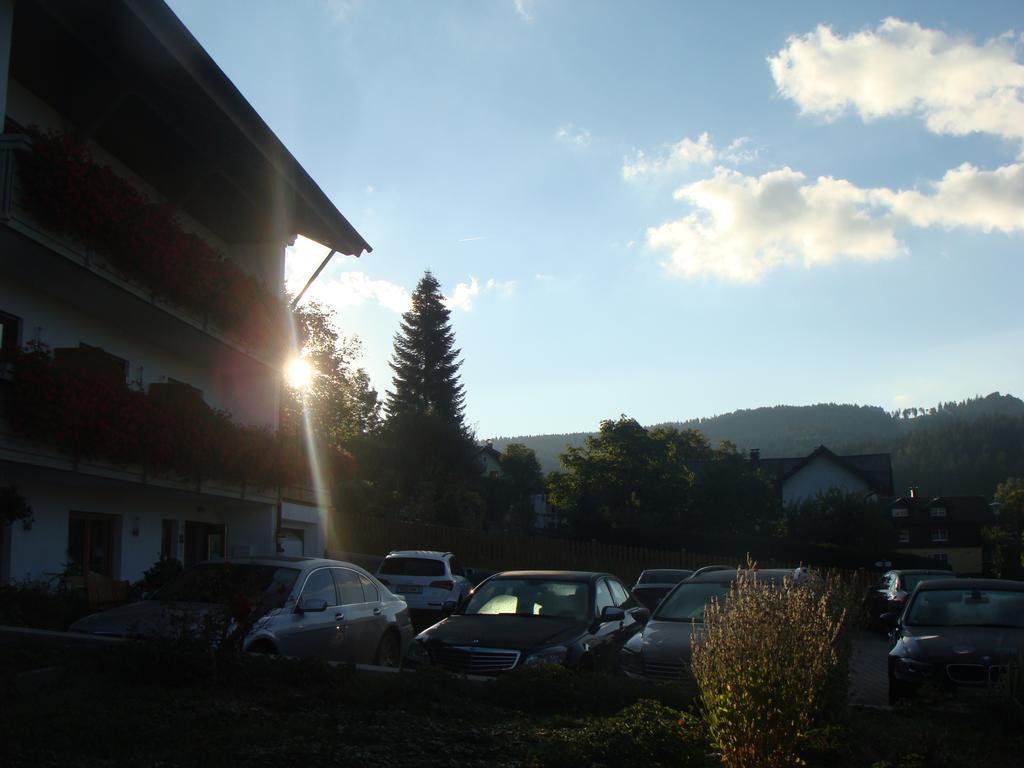 Drei Tannen Bodenmais Exterior foto