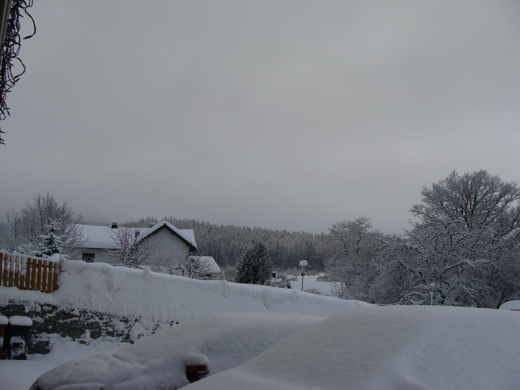 Drei Tannen Bodenmais Exterior foto